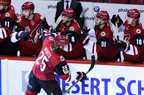 NHL Power Rankings: Arizona Coyotes center Ryan White (25) celebrates with teammates after scoring a goal in the second period against the Los Angeles Kings at Gila River Arena. Mandatory Credit: Matt Kartozian-USA TODAY Sports