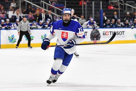 EDMONTON, AB – AUGUST 14: Dalibor Dvorsky (Photo by Andy Devlin/ Getty Images)