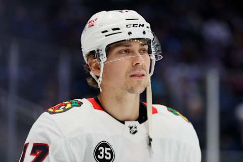 Chicago Blackhawks (Photo by Steph Chambers/Getty Images)