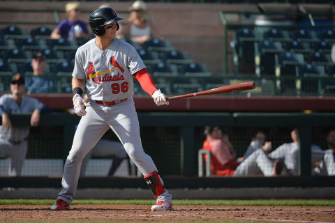 SCOTTSDALE, AZ – NOVEMBER 13: Andrew Knizner #96 of Surprise Saguaros (STL) stands at bat in the Arizona Fall League game against the Scottsdale Scorpions at Scottsdale Stadium on November 13, 2017 in Scottsdale, Arizona. (Photo by Jennifer Stewart/Getty Images)