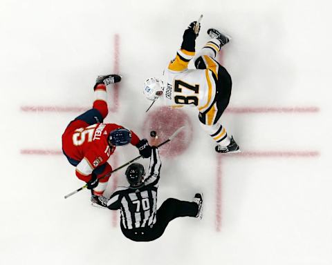 Pittsburgh Penguins, Florida Panthers. (Photo by Joel Auerbach/Getty Images)