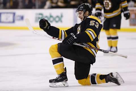 Dec 29, 2014; Boston, MA, USA; Boston Bruins center Seth Griffith (53) celebrates after scoring a goal during the third period against the Detroit Red Wings at TD Banknorth Garden. The Bruins won 5-2. Mandatory Credit: Greg M. Cooper-USA TODAY Sports