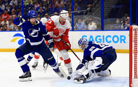 Adam Erne of the Detroit Red Wings. (Photo by Mike Ehrmann/Getty Images)