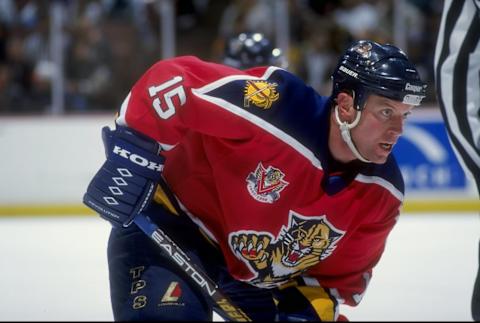 21 Jan 1998: Center Dave Gagner of the Florida Panthers in action against the Anaheim Mighty Ducks during a game at Arrowhead Pond in Anaheim, California. The Ducks defeated the Panthers 8-3. Mandatory Credit: Elsa Hasch /Allsport