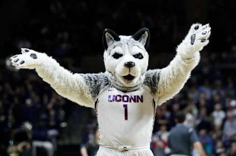 Mar 24, 2019; Storrs, CT, USA; The UConn Huskies mascot. Mandatory Credit: David Butler II-USA TODAY Sports