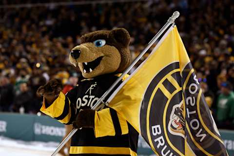 Boston Bruins. (Photo by Winslow Townson/Getty Images)