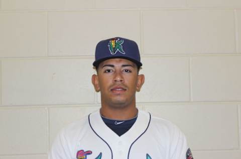 Fernando Romero, Credit: Cedar Rapids Kernels