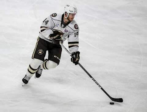 Connor McMichael, Hershey Bears