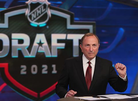 NHL Commissioner Gary Bettman. (Photo by Bruce Bennett/Getty Images)