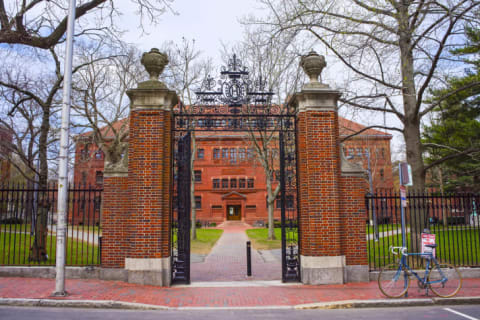 Harvard University.