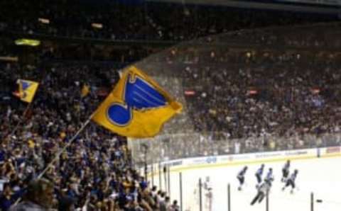 May 23, 2016; St. Louis, MO, USA; St. Louis Blues fans cheer in support after a goal scored by St. Louis Blues right wing Troy Brouwer (36) against the San Jose Sharks in the first period in game five of the Western Conference Final of the 2016 Stanley Cup Playoffs at Scottrade Center. The Sharks won 6-3. Mandatory Credit: Aaron Doster-USA TODAY Sports