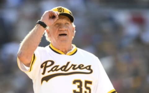 Randy Jones, San Diego Padres (Photo by Andy Hayt/Getty Images)