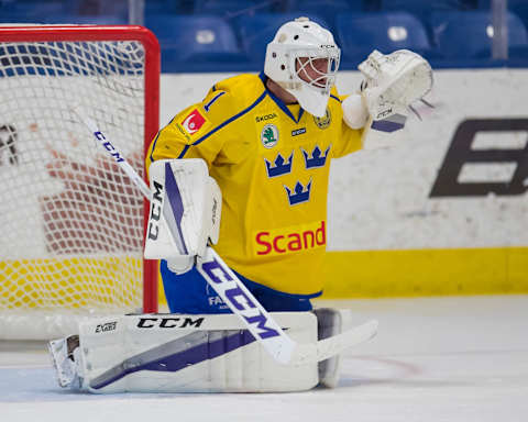 Filip Larsson #1 (Photo by Dave Reginek/Getty Images)