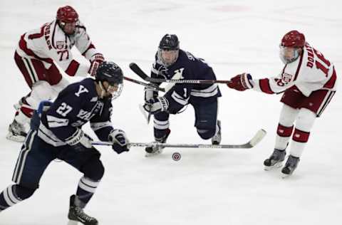 BOSTON – MARCH 10: Harvard University Crimson’s Lewis Zerter-Gossage , left, and Ryan Donato battle with the Yale Bulldogs’ Luke Stevens (#27) and Joe Snively for control of the puck during third period action. The ECAC quarterfinal men’s ice hockey game was played at the Bright-Landry Center, March 10, 2017. (Photo by Matthew J. Lee/The Boston Globe via Getty Images)