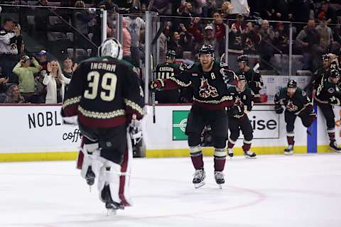 Arizona Coyotes. (Photo by Christian Petersen/Getty Images)