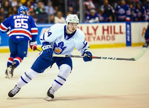 ROCHESTSER, NY – APRIL 19: Toronto Marlies Adam Brooks (14) forechecks during game 1 of the Calder Cup Playoffs between Toronto Marlies and the Rochester Americans on April 19, 2019 at Blue Cross Arena in Rochester, NY. (Photo by Jerome Davis/Icon Sportswire via Getty Images).