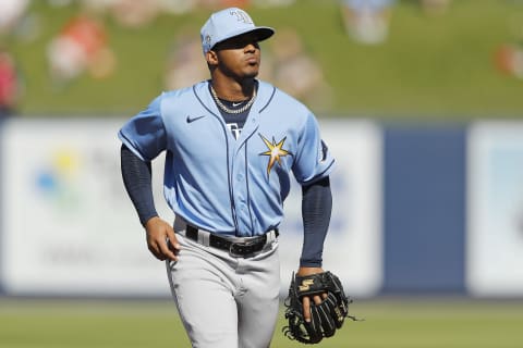 Wander Franco (Photo by Michael Reaves/Getty Images)