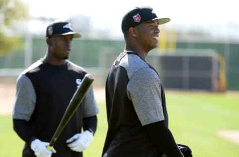 GLENDALE, ARIZONA – FEBRUARY 20: Luis Robert