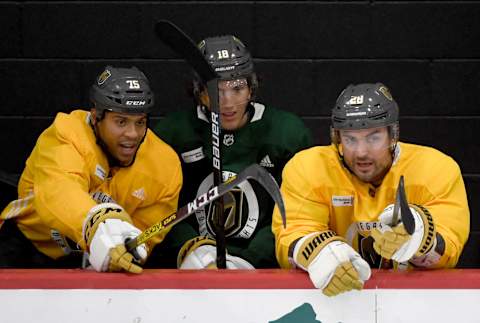 Ryan Reaves #75, Peyton Krebs #18 and William Carrier #28 of the Vegas Golden Knights talk during a training camp practice. (Photo by Ethan Miller/Getty Images)