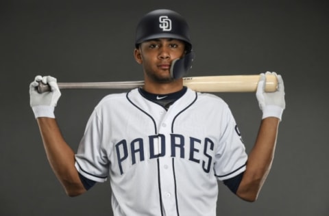 PEORIA, AZ – FEBRUARY 21: Fernando Tatis Jr.