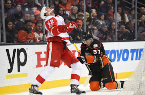 ANAHEIM, CA – JANUARY 04: Detroit Red Wings Defenceman Jonathan Ericsson (52) grabs the stick of Anaheim Ducks Left Wing Nick Ritchie (37) and pulls it to his face to get a high stick penalty call on January 04, 2017. (Photo by Chris Williams/Icon Sportswire via Getty Images)