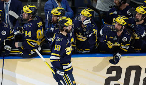 TAMPA, FL – APRIL 6: Adam Fantilli #19 of the Michigan Wolverines celebrates his goal against the Quinnipiac Bobcats with his teammates during game two of the 2023 NCAA Division I Men’s Hockey Frozen Four Championship Semifinal at the Amaile Arena on April 6, 2023 in Tampa, Florida. The Bobcats won 5-2. (Photo by Richard T Gagnon/Getty Images)