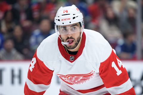 Robby Fabbri #14 of the Detroit Red Wings. (Photo by Derek Cain/Getty Images)