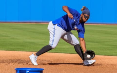 Vlad Guerrero Jr. Toronto Blue Jays/Handout Photo via USA TODAY Sports