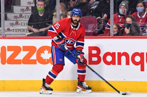 Mathieu Perreault (Photo by Minas Panagiotakis/Getty Images)