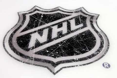 NHL logo (Photo by Bruce Bennett/Getty Images)