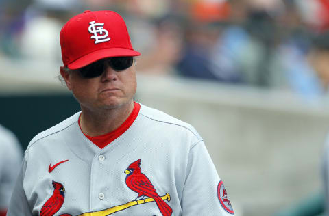 DETROIT, MI – JUNE 23: Manager Mike Shildt #8 of the St. Louis Cardinals during a game against the Detroit Tigers at Comerica Park on June 23, 2021, in Detroit, Michigan. (Photo by Duane Burleson/Getty Images)