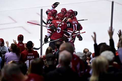 Nov 10, 2016; Glendale, AZ, USA; Arizona Coyotes right wing Radim Vrbata (17) celebrates with teammates after scoring a goal in the first period against the Winnipeg Jets at Gila River Arena. Mandatory Credit: Matt Kartozian-USA TODAY Sports