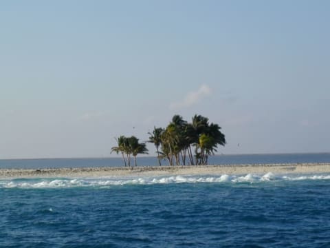 A view of abandoned Clipperton Island.