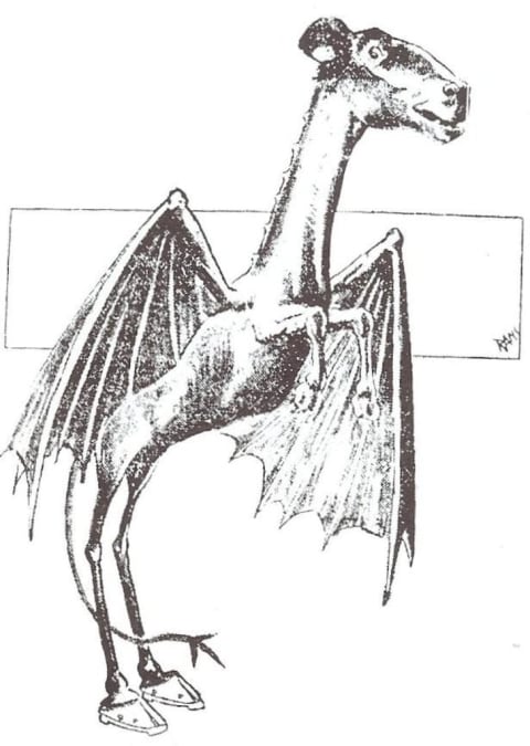 A sketch of the Jersey Devil from the Philadelphia Bulletin in January 1909.