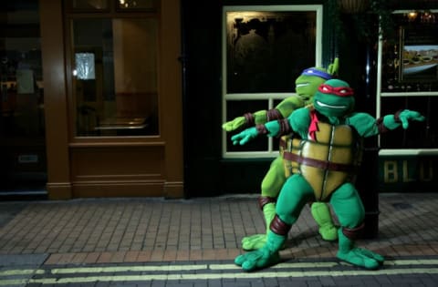 The Turtles took pop culture by storm.