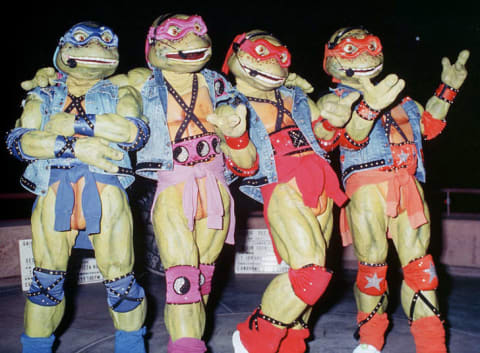 The Turtles became pop culture phenomenons who even performed live.