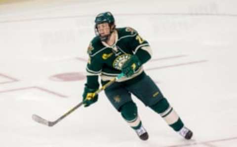 Nick Luukko, Vermont Catamounts (Photo by Richard T Gagnon/Getty Images)