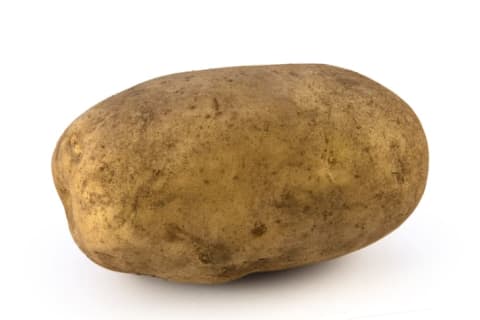 A photo of a potato