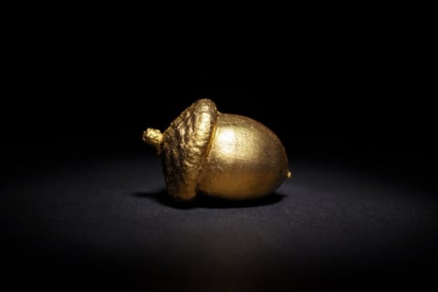 Golden acorn on a black background