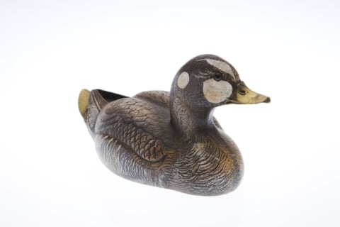 Duck decoy.