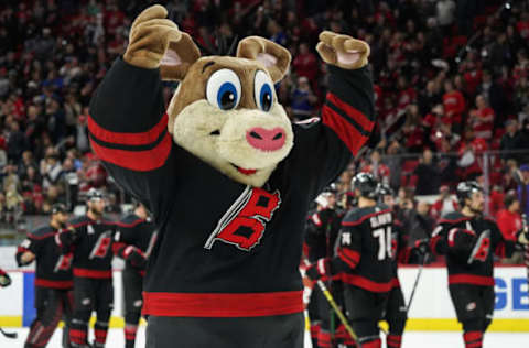 RALEIGH, NC – MARCH 01: Carolina Hurricanes mascot Stormy celebrates on the ice after a game between the St. Louis Blues and the Carolina Hurricanes at the PNC Arena in Raleigh, NC on March 1, 2019. (Photo by Greg Thompson/Icon Sportswire via Getty Images)