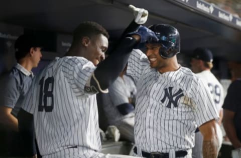 NEW YORK, NY – JULY 01: Aaron Hicks #31 of the New York Yankees celebrates his fourth inning home run against the Boston Red Sox in the dugout with teammate Didi Gregorius #18 at Yankee Stadium on July 1, 2018 in the Bronx borough of New York City. (Photo by Jim McIsaac/Getty Images)