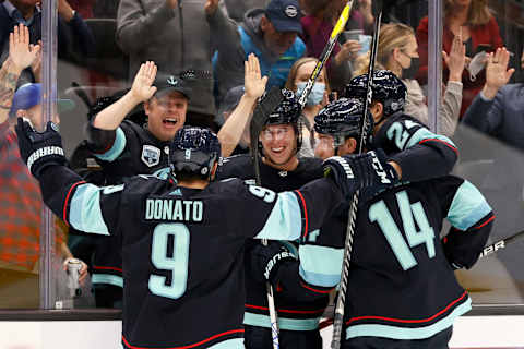 Haydn Fleury (center) and Ryan Donato would fill multiple roster holes and would be a part of the Coyotes long-term plans. (Photo by Steph Chambers/Getty Images)