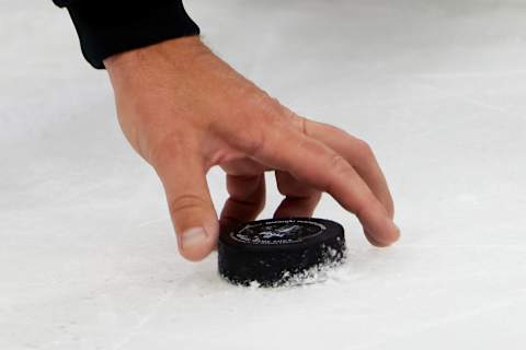 The referee grabs the puck. (Photo by Bruce Bennett/Getty Images)