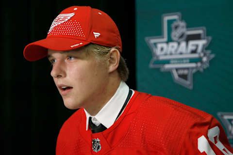 Jonatan Berggren, Detroit Red Wings. (Photo by Ron Jenkins/Getty Images)