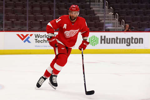 DETROIT, MICHIGAN – APRIL 15: Luke Glendening #41 of the Detroit Red Wings  . (Photo by Gregory Shamus/Getty Images)