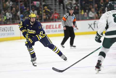 Michigan defenseman Luke Hughes (43) (Syndication: Detroit Free Press)