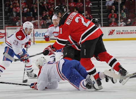 NHL, Rob Niedermayer (Photo by Bruce Bennett/Getty Images)