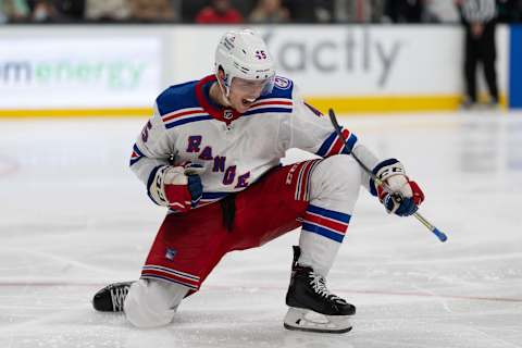 New York Rangers defenseman Braden Schneider (45) reacts after scoring a goal during the third period (Credit: Stan Szeto-USA TODAY Sports)