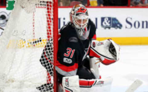 RALEIGH, NC – MARCH 27: Eddie Lack #31 of the Carolina Hurricanes guards the post during an NHL game against the Detroit Red Wings on March 27, 2017 at PNC Arena in Raleigh, North Carolina. (Photo by Gregg Forwerck/NHLI via Getty Images)